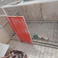 قفس کبوتر فروشی