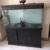 میز آکواریوم