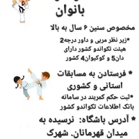 آموزش ورزش المپیکی تکواندو بانوان|خدمات آموزشی|شیراز, شهرک مدرس|دیوار