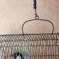 پرنده