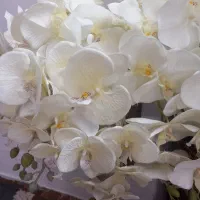 گل تمیز و سالم|گل مصنوعی|مشهد, ایثارگران|دیوار