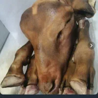 پاک کردن کله پاچه به روش سنتی وبامشعل