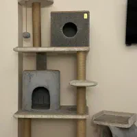 خونه /خانه طبقاتی گربه