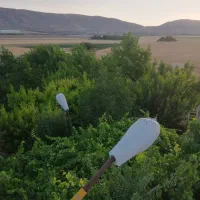 فروش-باغ-پردیس-ملوسجان