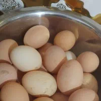 تخم مرغ خانگی دونه 18تومن