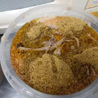 کارگر ساده جهت کار در اش فروشی َشاپور