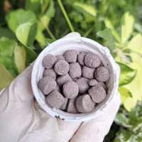 قرص کود ارگانیک|گل و گیاه طبیعی|سنگر, |دیوار