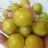 گوجه سبز رسیده|خوردنی و آشامیدنی|نیشابور, شهرک اندیشه|دیوار