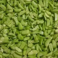 باقالی سبز 250