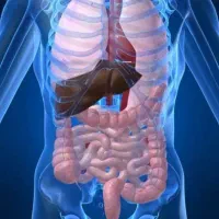 تدریس خصوصی علوم و زیست‌شناسی در منزل و اموزشگاه