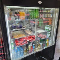 یخچال ساندویچی و جیگرکی فریدونی