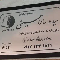 رسیدگی به کلیه دعاوی حقوقی ، کیفری ، بانکی و ثبتی