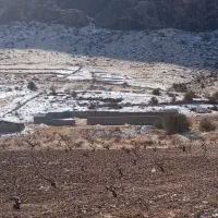 فروش باغ ۵۰۰متری پشت قهوه خانه نقد و اقساط