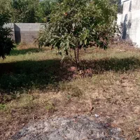 200شهری-مسکونی-فروش-فوری-زیر-قیمت-گورابزرمیخ