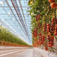 آموزش کشت گلخانه ( مدرک فنی وحرفه ای )|خدمات آموزشی|اصفهان, مولوی|دیوار