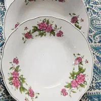 ظروف گلسرخی