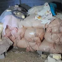 کاه یونجه|حیوانات مزرعه|شیراز, شاپورجان|دیوار