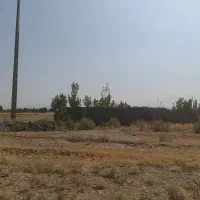 زمین حاشیه جاده قدیم|فروش زمین و ملک کلنگی|گلبهار, نوبهار|دیوار