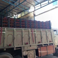 بنز تک 54|خودرو سنگین|مشهد, ایوان|دیوار