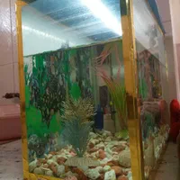 فروش آکواریوم با تمام وسایل تزئینی|ماهی|مراغه, |دیوار