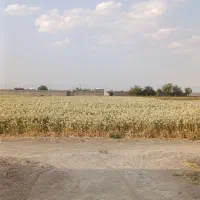 زمین-کشاورزی