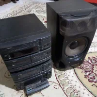 ظبط ایوا سالم همراه یک باند حرفه ای