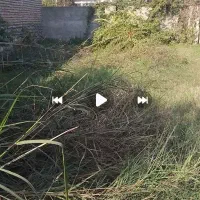 فروش-زمین-حریم-شهری-خیابان-جنگل-دانش-دوم