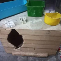 لوازم پرنده