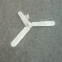 پنکه سقفی دوعددسالم