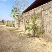 باغ و باغچه زمین ۲۰۰ و ۴۰۰ متر برق و گاز و آب|فروش زمین و ملک کلنگی|شهریار, شهریار|دیوار