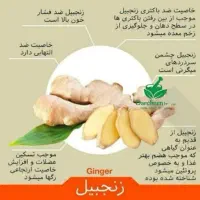 عصاره زنجبیل|خدمات پذیرایی، مراسم|میبد, |دیوار