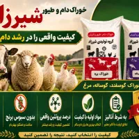 کارخانه دان پلت مش کنستانتره جوجه مرغ بوقلمون