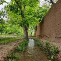 فیش حج عمره