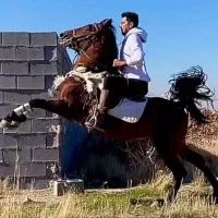 نریان جهت کشش