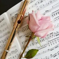 آموزش موسیقی به زبان ساده