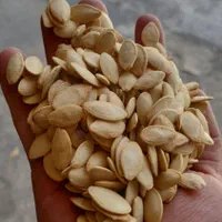 تخمه بساطی .تخمه چینی.تخمه بازار روز. تخمه طعم دار|عمده‌فروشی|تهران, وردآورد|دیوار