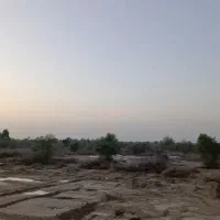 زمین-کشاورزی-60هتکتارباچاه-عمیق00