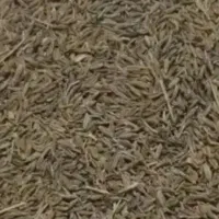 فروش زیره سبزامسال زیره دیم درجه یک 30کیلو