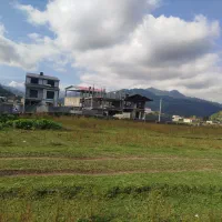 زمین شهری صلصال 225|فروش زمین و ملک کلنگی|تالش, هشتپر|دیوار