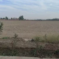 فروش  زمین  سند شش دانگ|فروش زمین و ملک کلنگی|قم, سیدان|دیوار