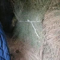 یونجه۳۳۰۰۰۰تومان