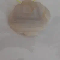 سه عدد پا مهره|جواهرات|ایذه, |دیوار