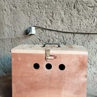 جعبه حمل خروس|لوازم جانبی حیوانات|ساری, |دیوار