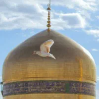 تور مشهد / تور ریلی مهرماه / بلیط قطار