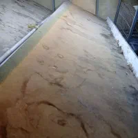 کلیه لوازم میوه فروشی|فروشگاه و مغازه|تربتحیدریه, آغوی|دیوار