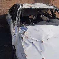 پژوپارمدل۹۳دوگانه شرکتی