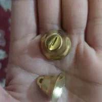 زنگوله
