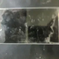 گوشی ال جی باتری جی۲