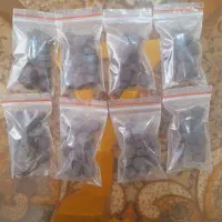 به گل و گیاهات رشد سریع بده