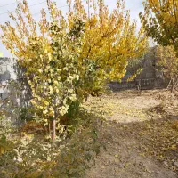 ویلا-هشت-بهشت-شمالی